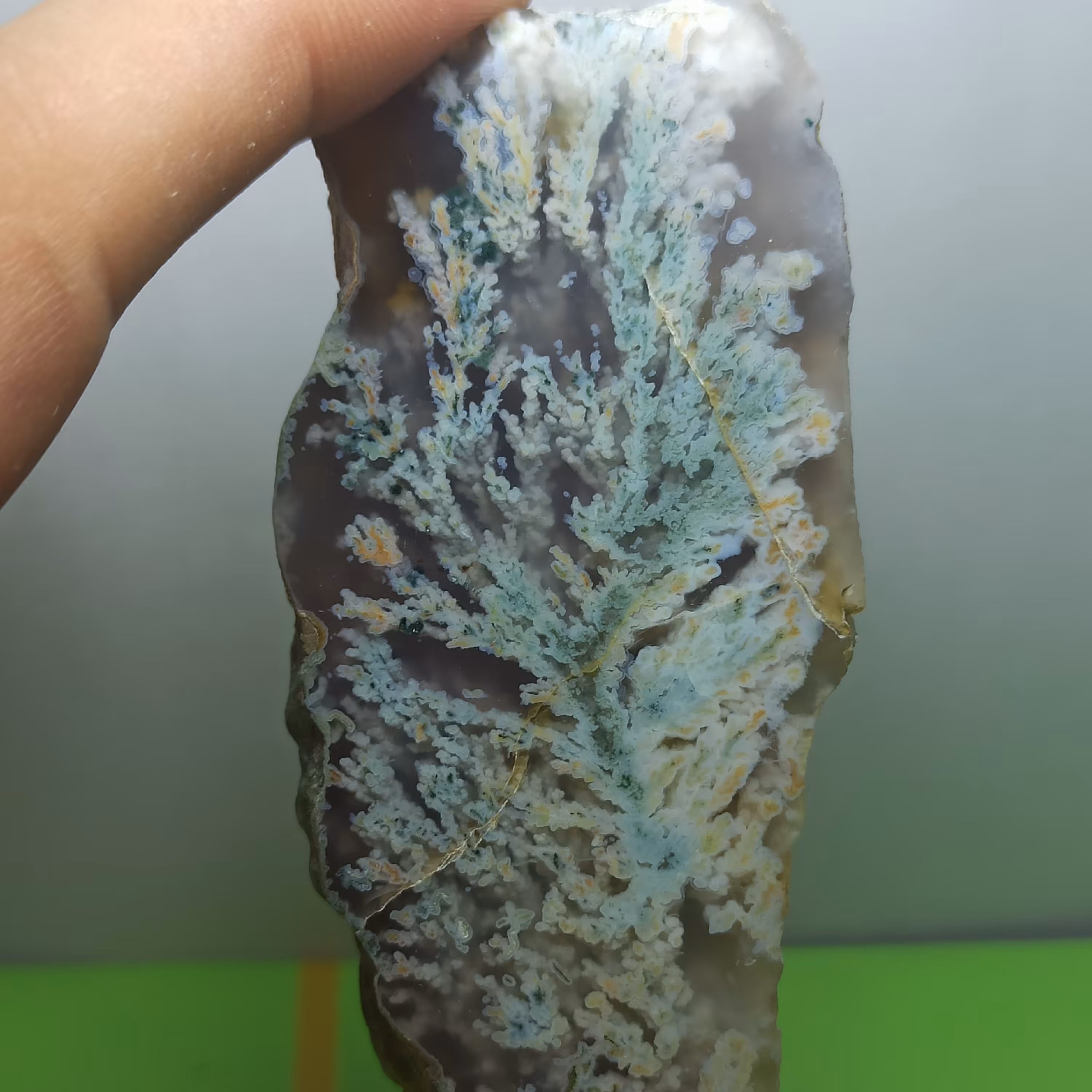 گوهر سنگ کلکسیونی شجر شکوفه بهاری چند رنگ درختچه ای 