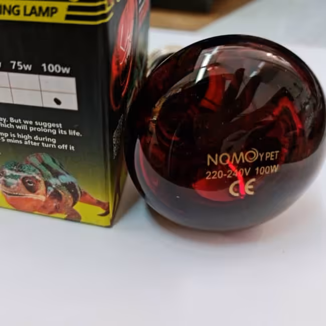 لامپ حرارتی برای گرمایش خزندگان50w پس کرایه