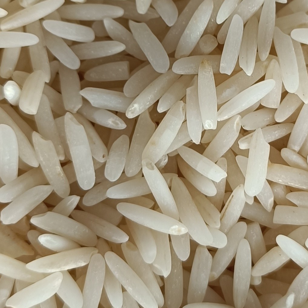 برنج ارگانیک