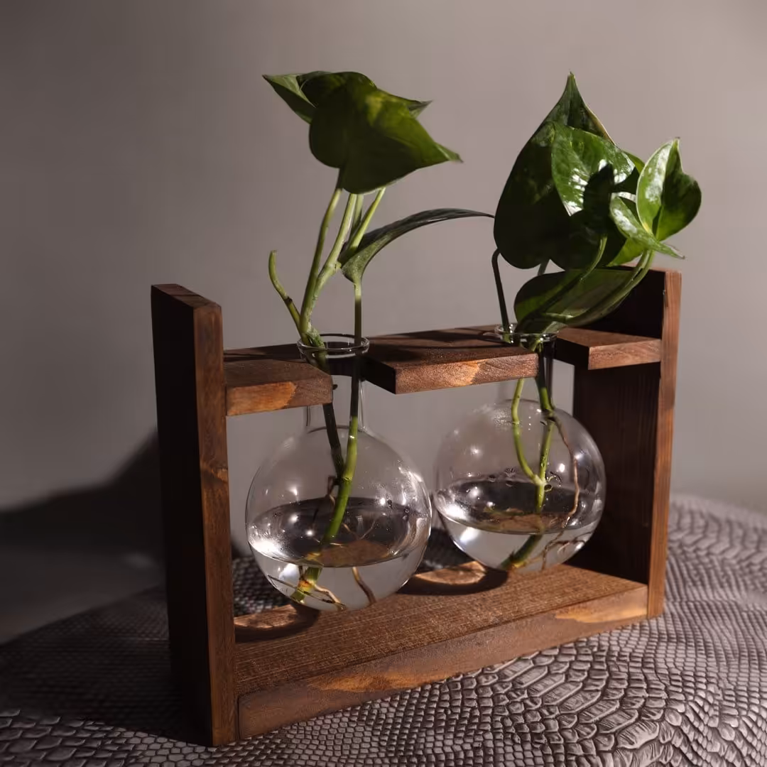 گلدان چوب و شیشه گیاهی B202