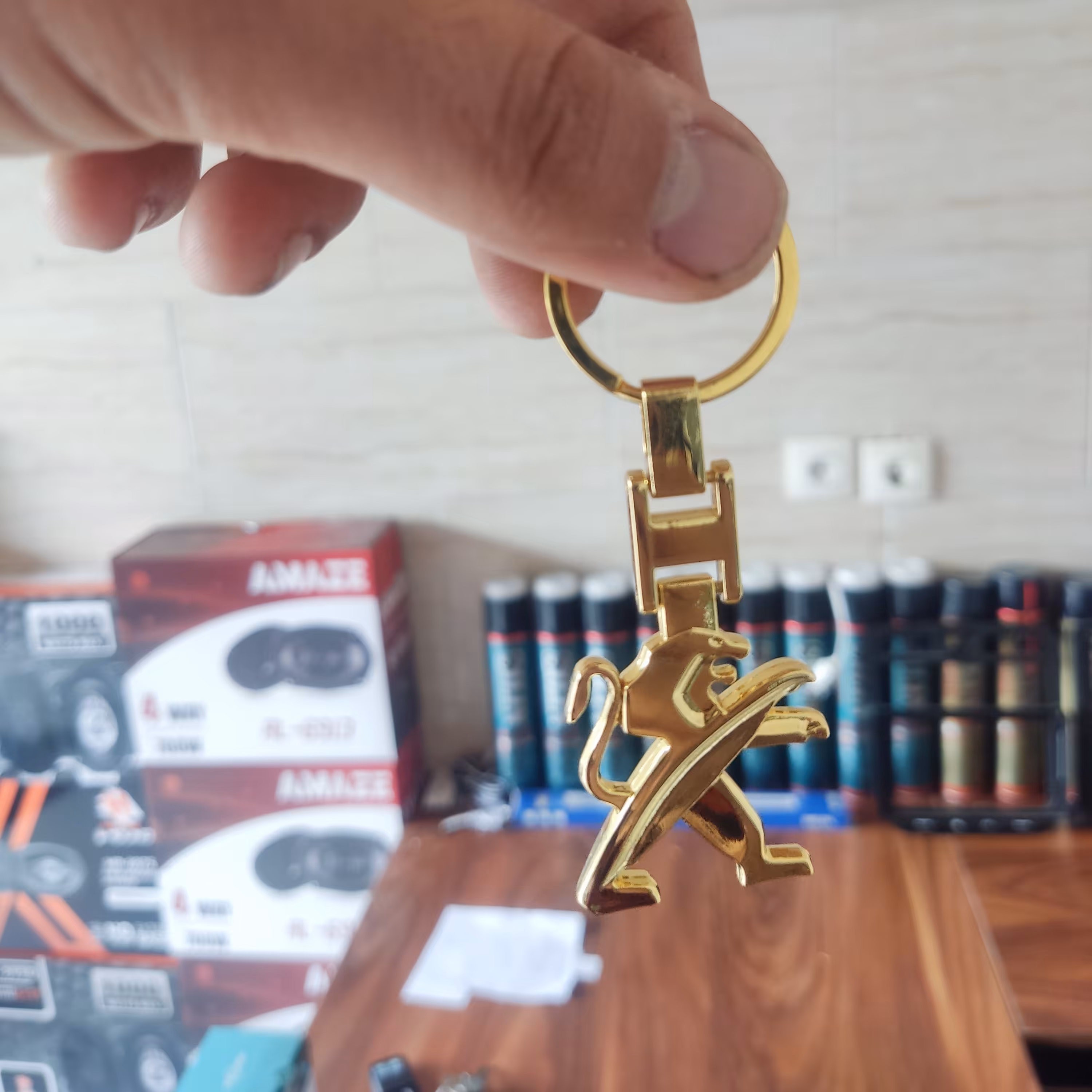 جا کلید خودرو ، جا سوئیچی پارس