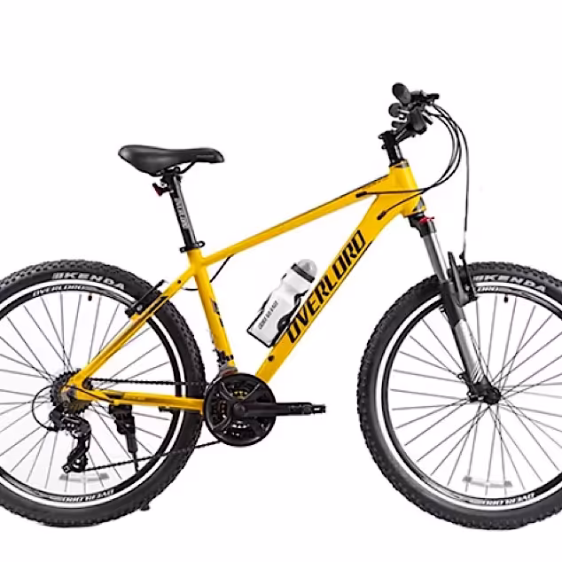 دوچرخه شهری اورلرد مدل panamera سایز 26