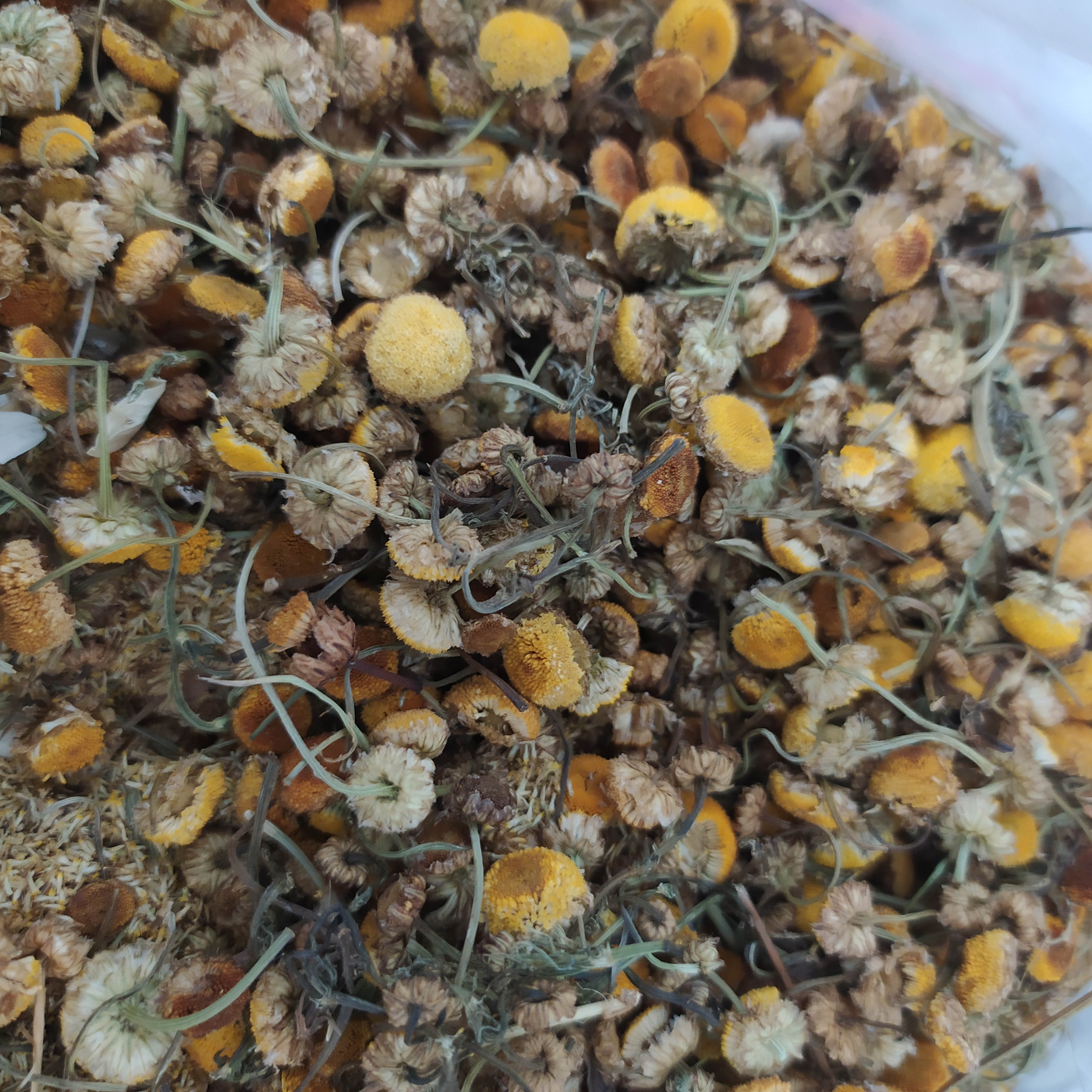 بابونه درجه یک بسته 100گرمی