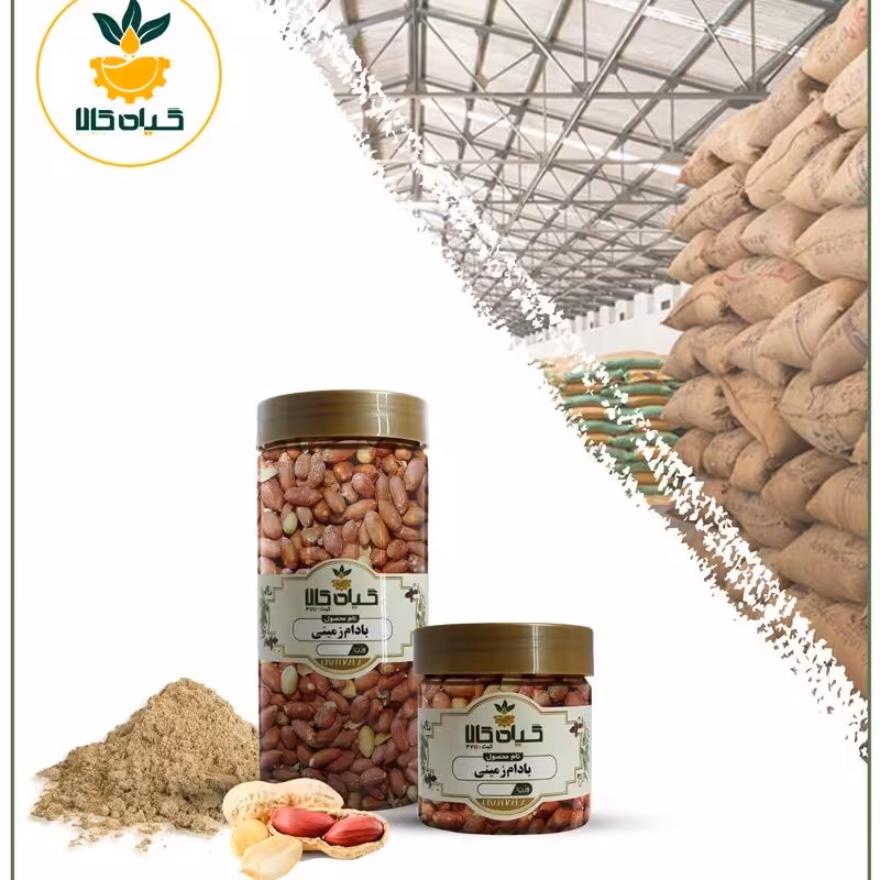 بادام زمینی، بار امسالی و تازه(65گرمی )