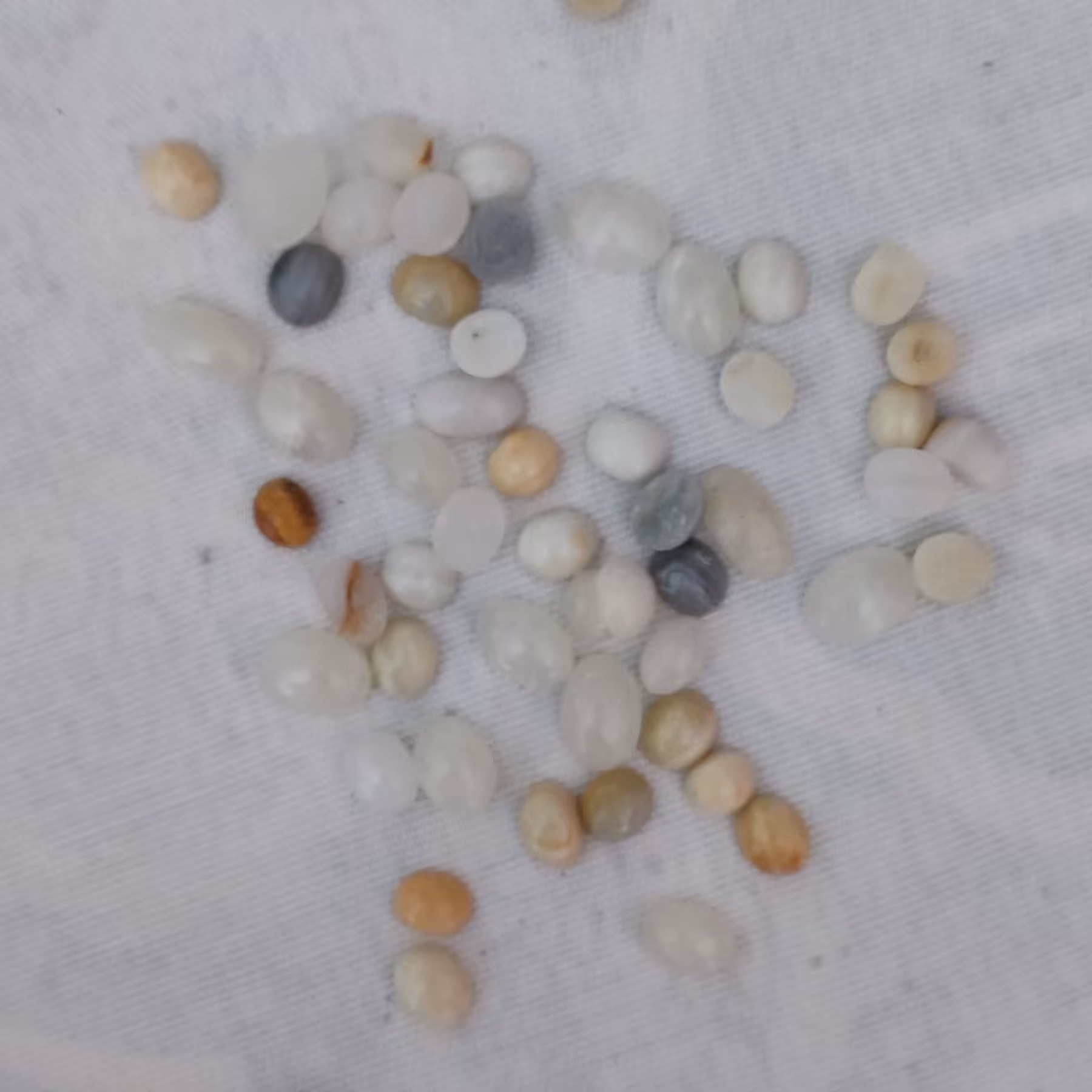 سنگ حرم امام حسین علیه السلام 