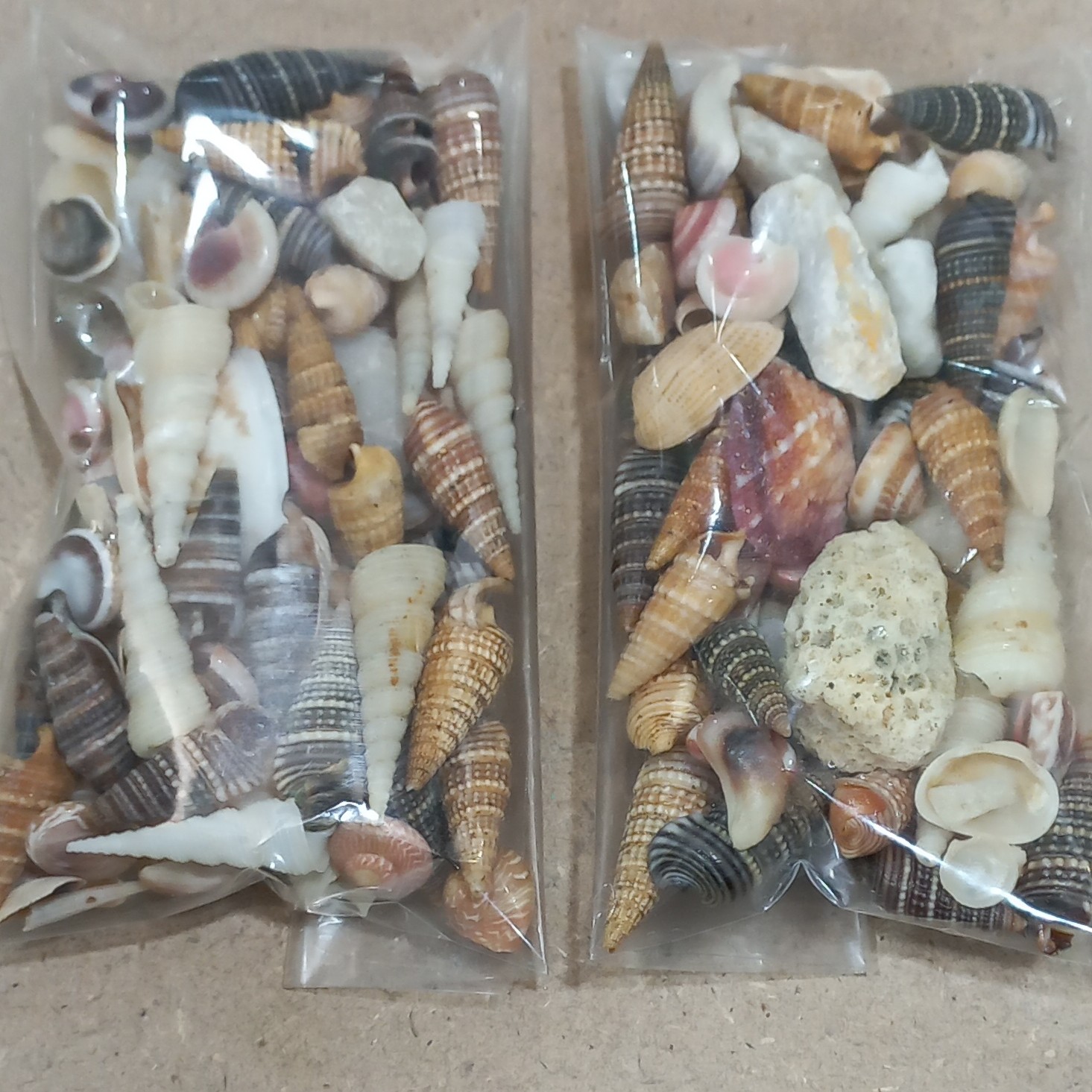 بسته صدف ترکیبی