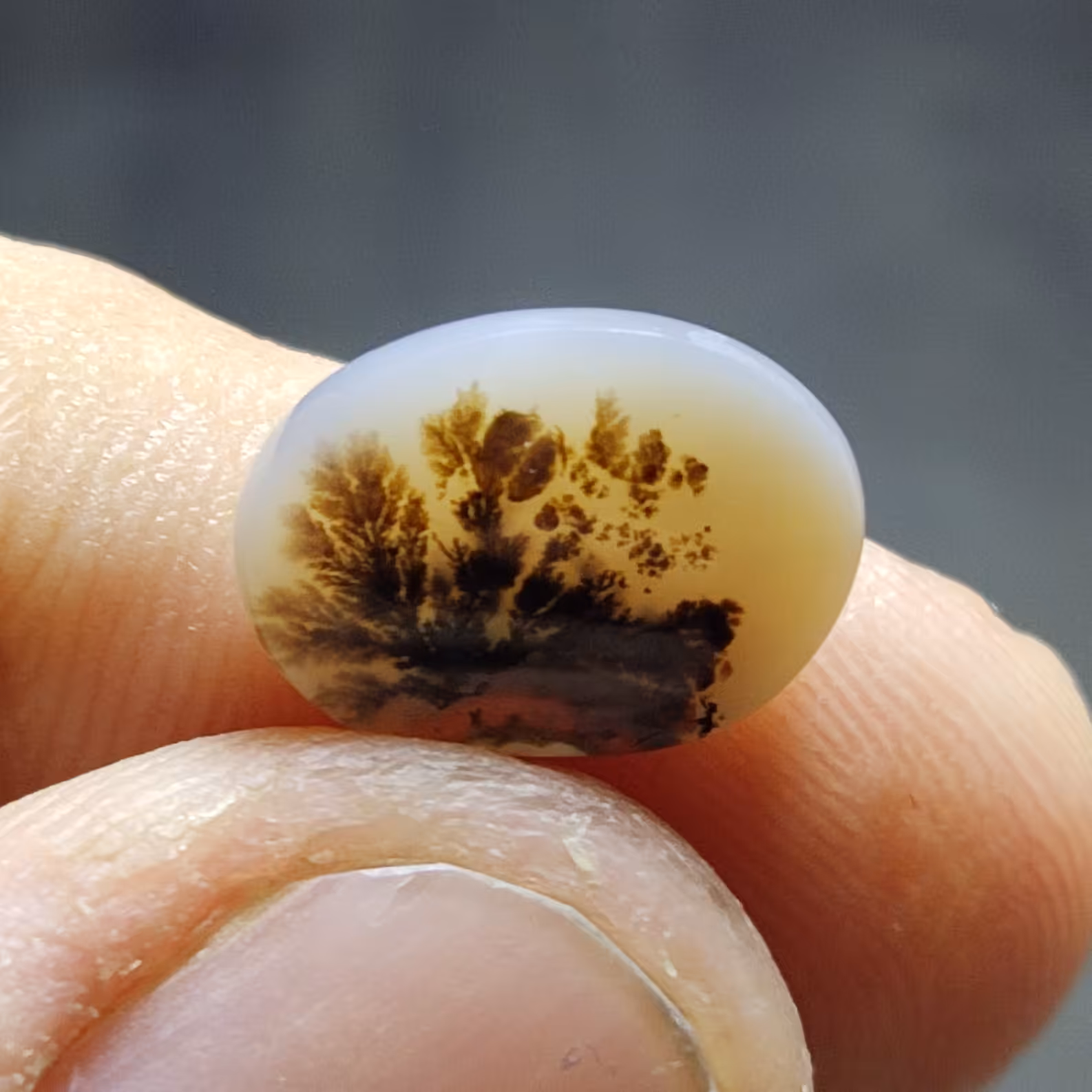 نگین شجر منظره طبیعی قاینات قواره ریز 15در 11 میل تقریبا مناسب انگشتر مردانه ظریف و زنانه 