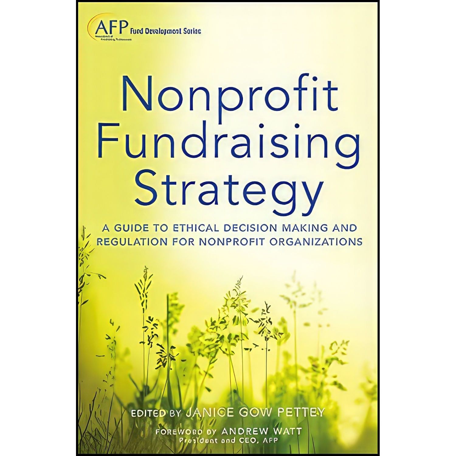 کتاب زبان اصلی Nonprofit Fundraising Strategy Website اثر Janice Gow Pettey