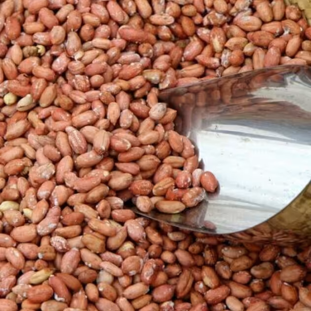 بادام زمینی اعلا و تازه  (500گرمی)