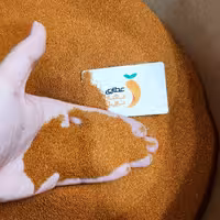 خاکشیر درجه یک 500 گرمی 
پاک کرده و تمیز شده