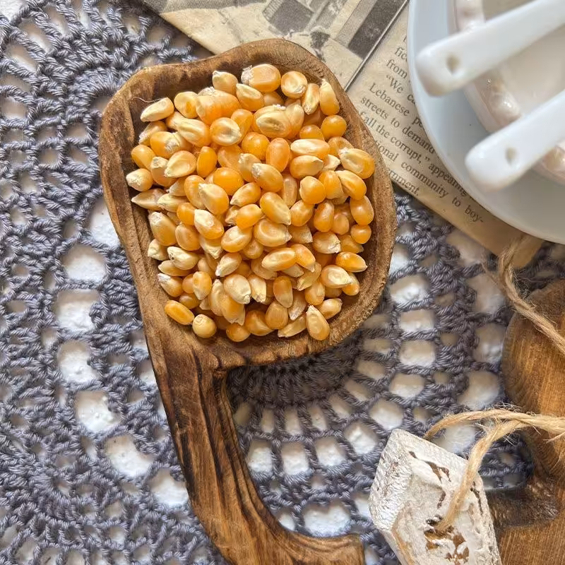 ذرت پاپکرن 500 گرمی