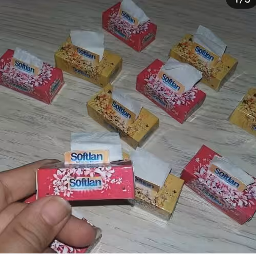 دستمال کاغذی مگنتی مینیاتوری سافتلن