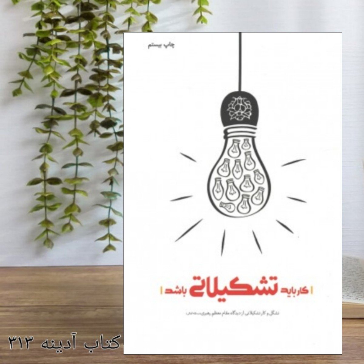 کار باید تشکیلاتی باشد تشکل و کار تشکیلاتی از دیدگاه مقام معظم رهبری