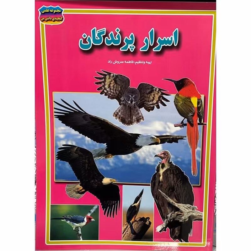 اسرار پرندگان