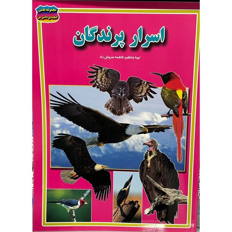 اسرار پرندگان