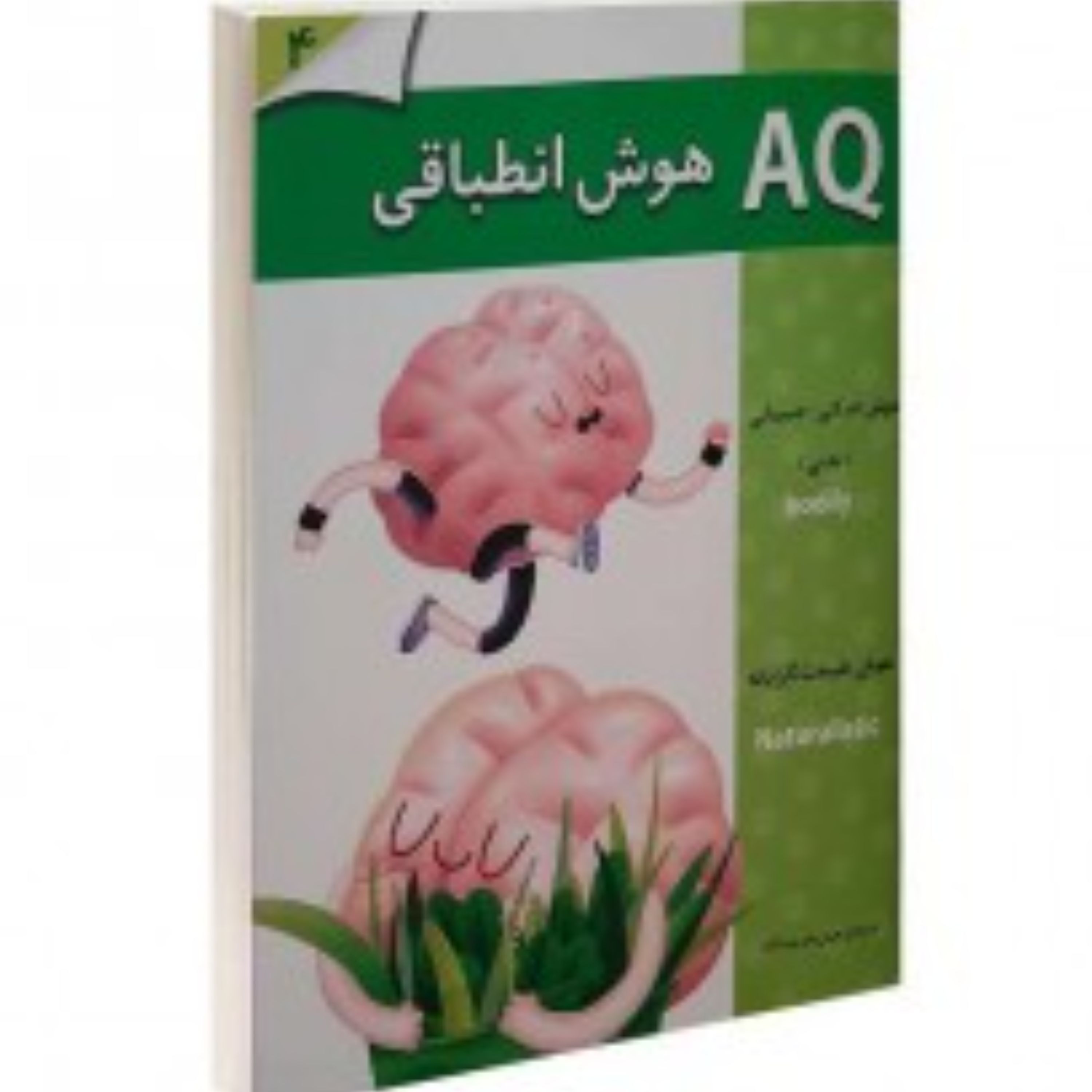 هوش AQ انطباقی 4سال