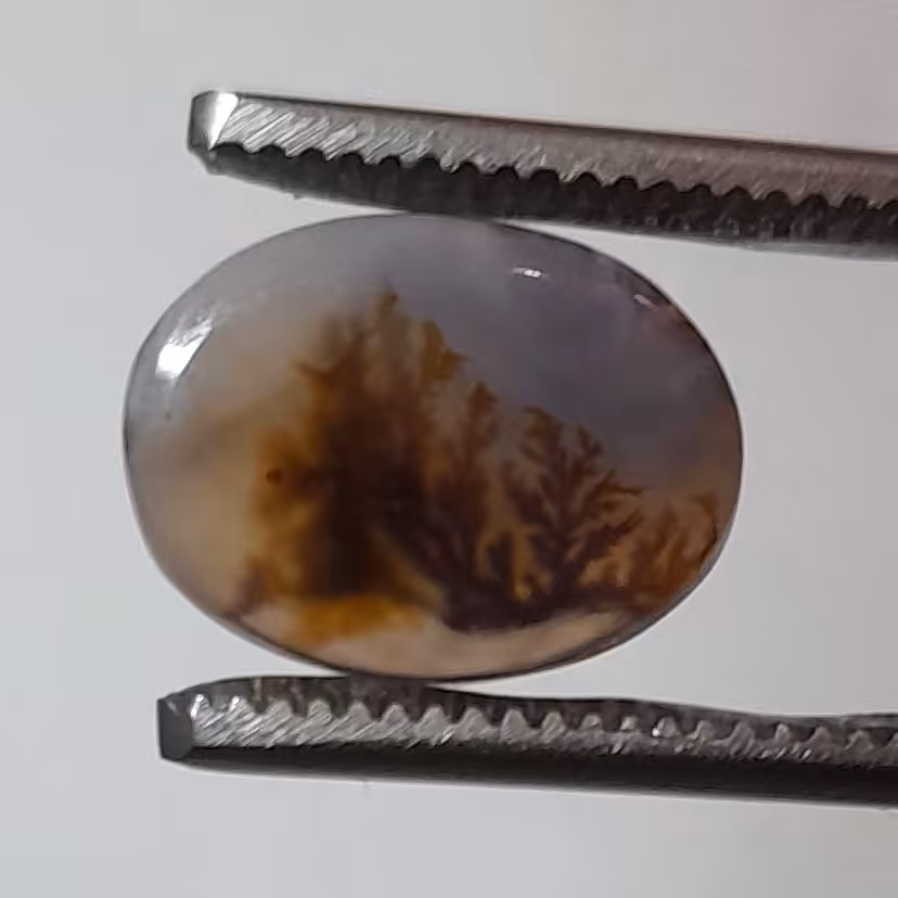 شجر قائن طبیعی و معدنی کد 602