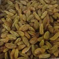 کشمش سبز ممتاز (500 گرم)