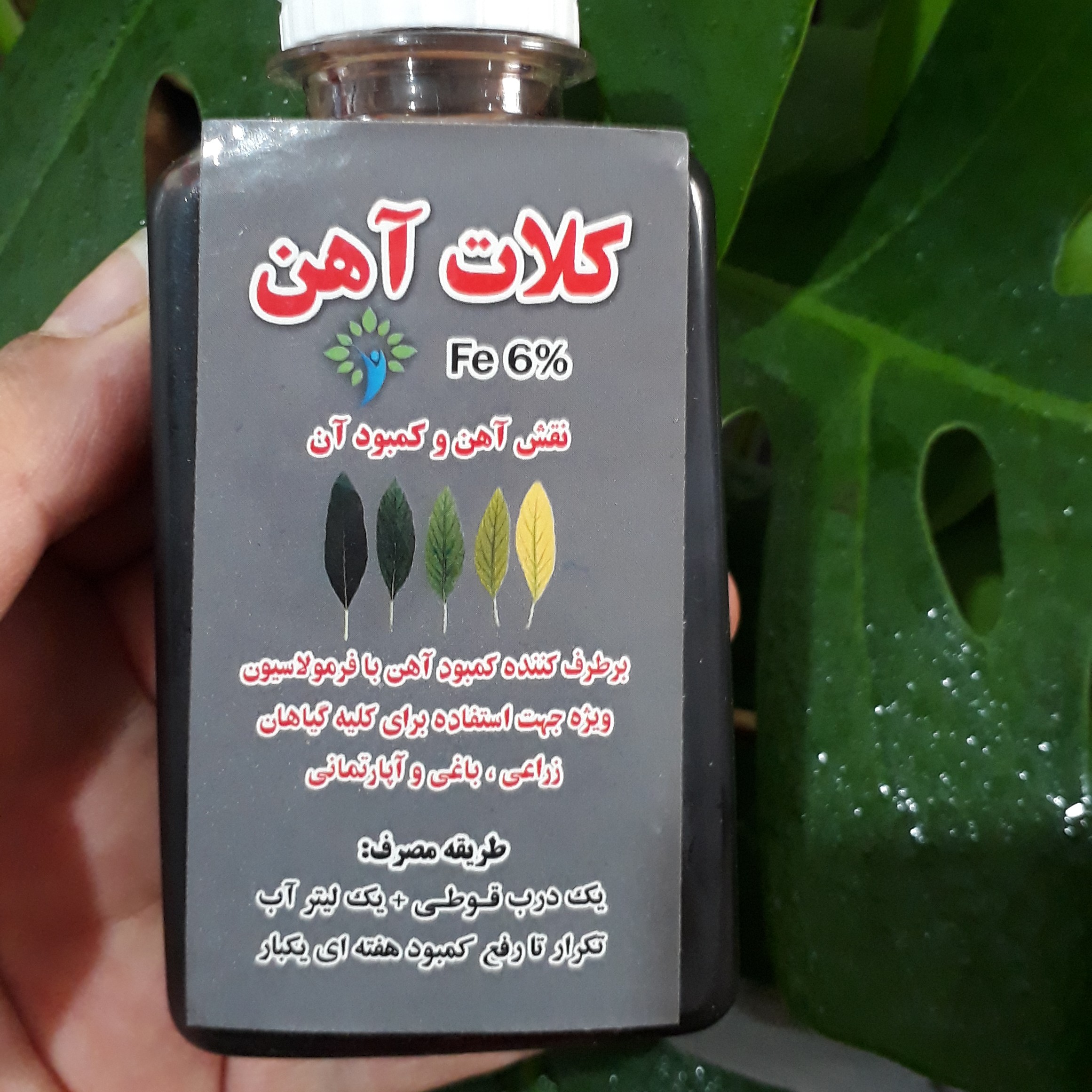 کود کلات آهن مناسب گلهای که برگاشون و ساقشون ریز شده تعداد هم موجوده 