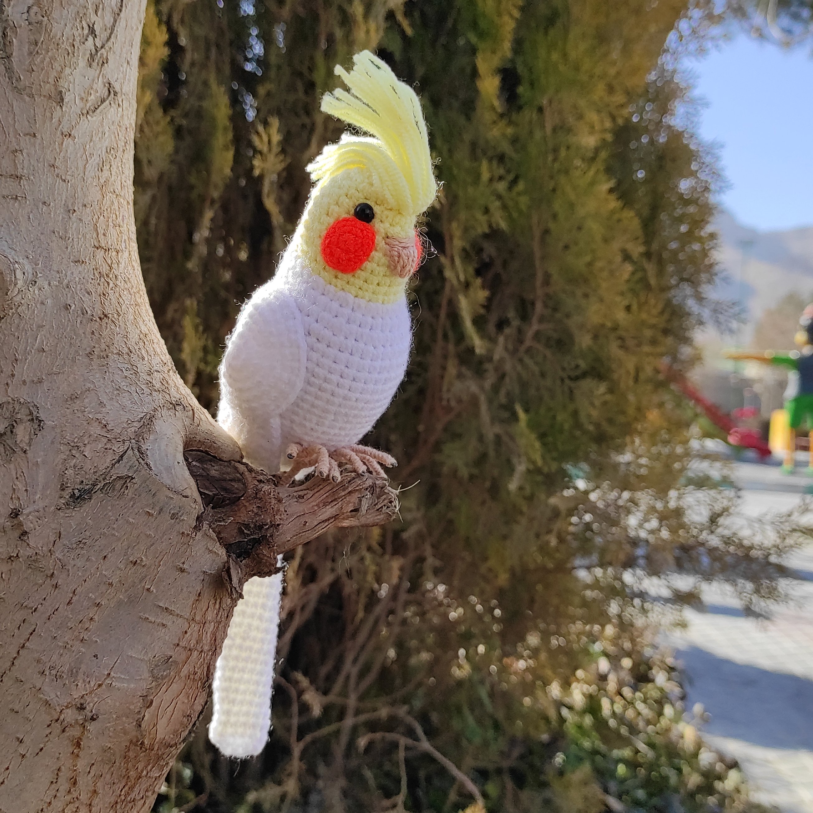 عروس هلندی بافتنی