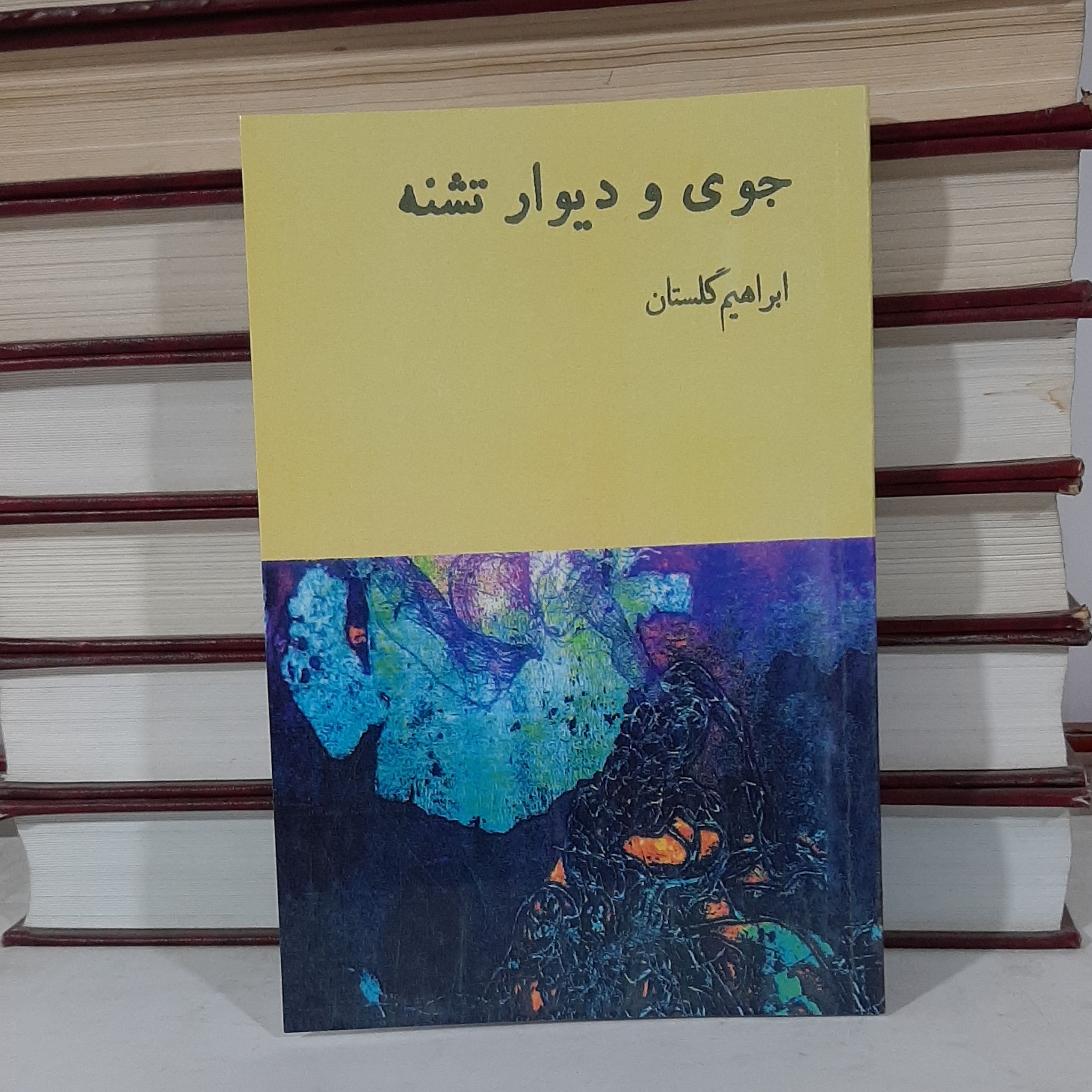 کتاب جوی و دیوار تشنه نویسنده ابراهیم گلستان بازنشر سال 1351