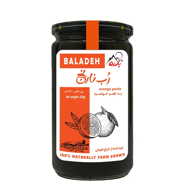 پک 4 عددی رب نارنج 600 گرمی بلده
