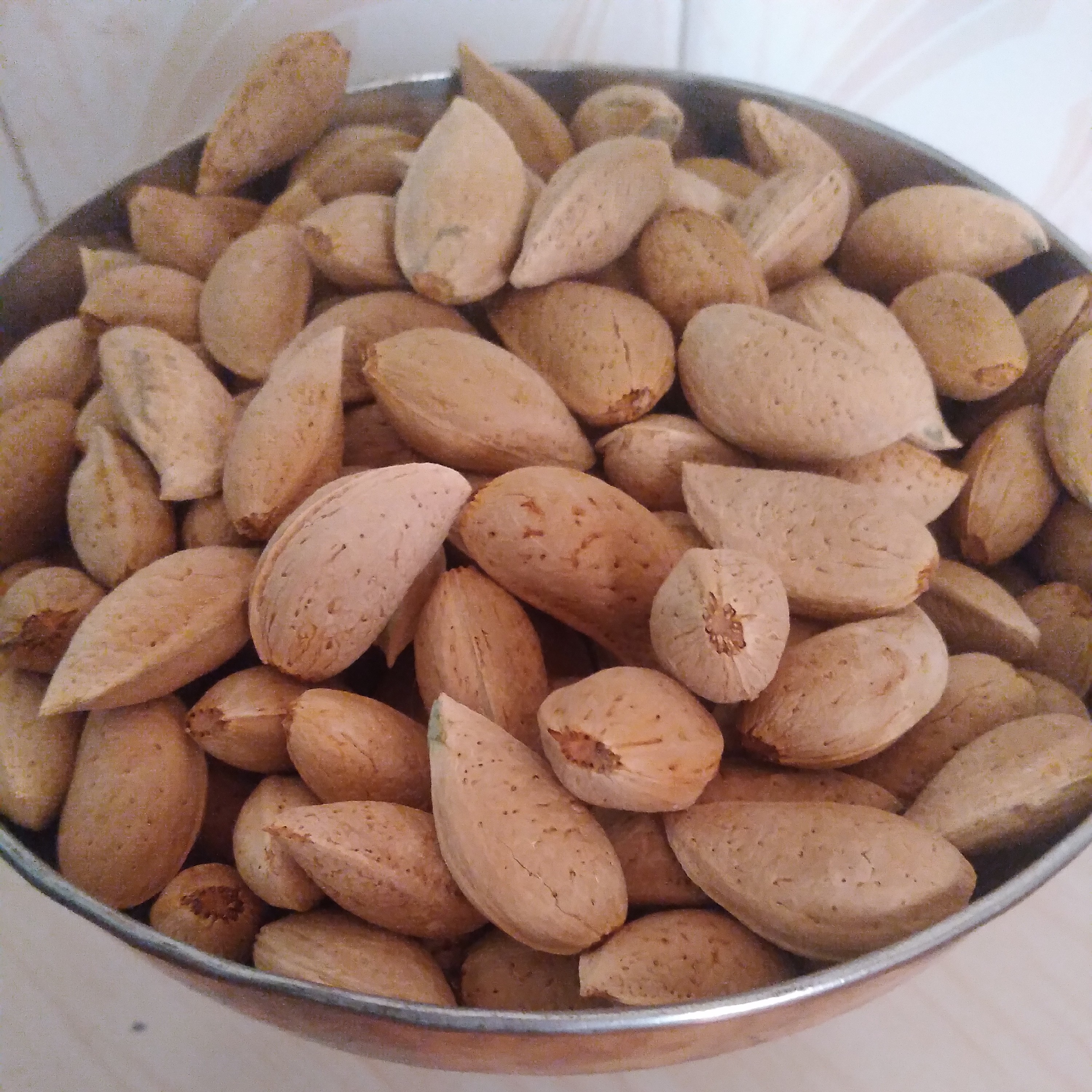 بادام سنگی درشت و تازه و یکدست بدون پوکی و تلخی در بسته های 2کیلویی