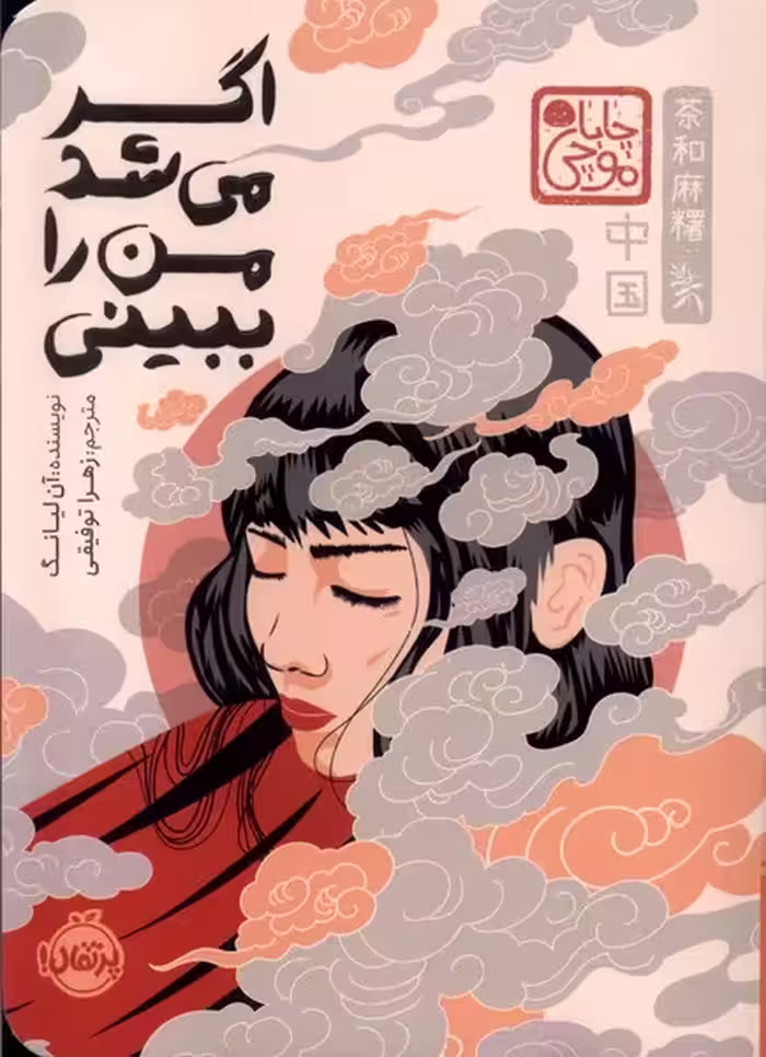 کتاب اگر می شد من را ببینی اثر آن لیانگ