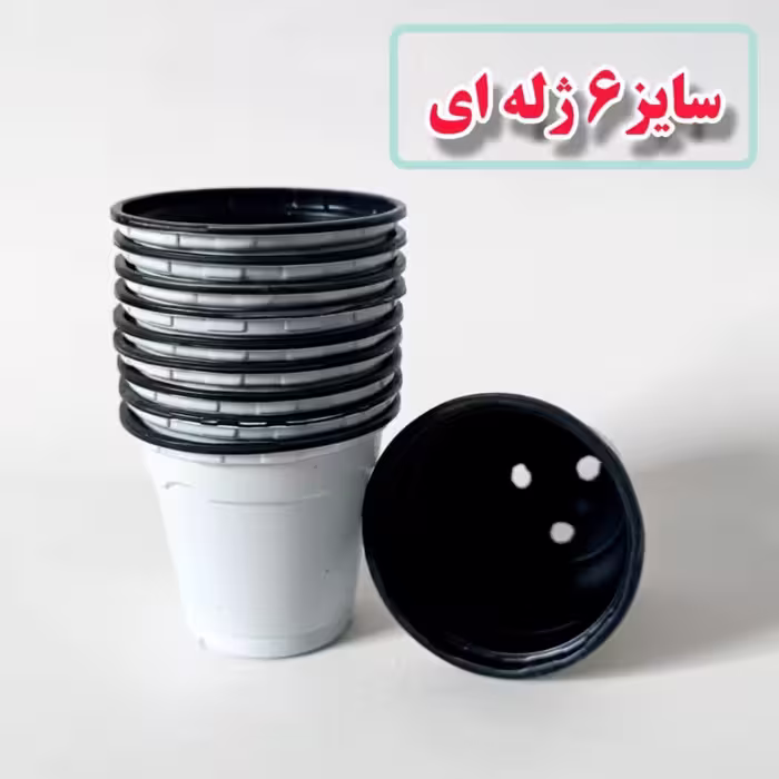 گلدان ژله ای سفید سایز 6