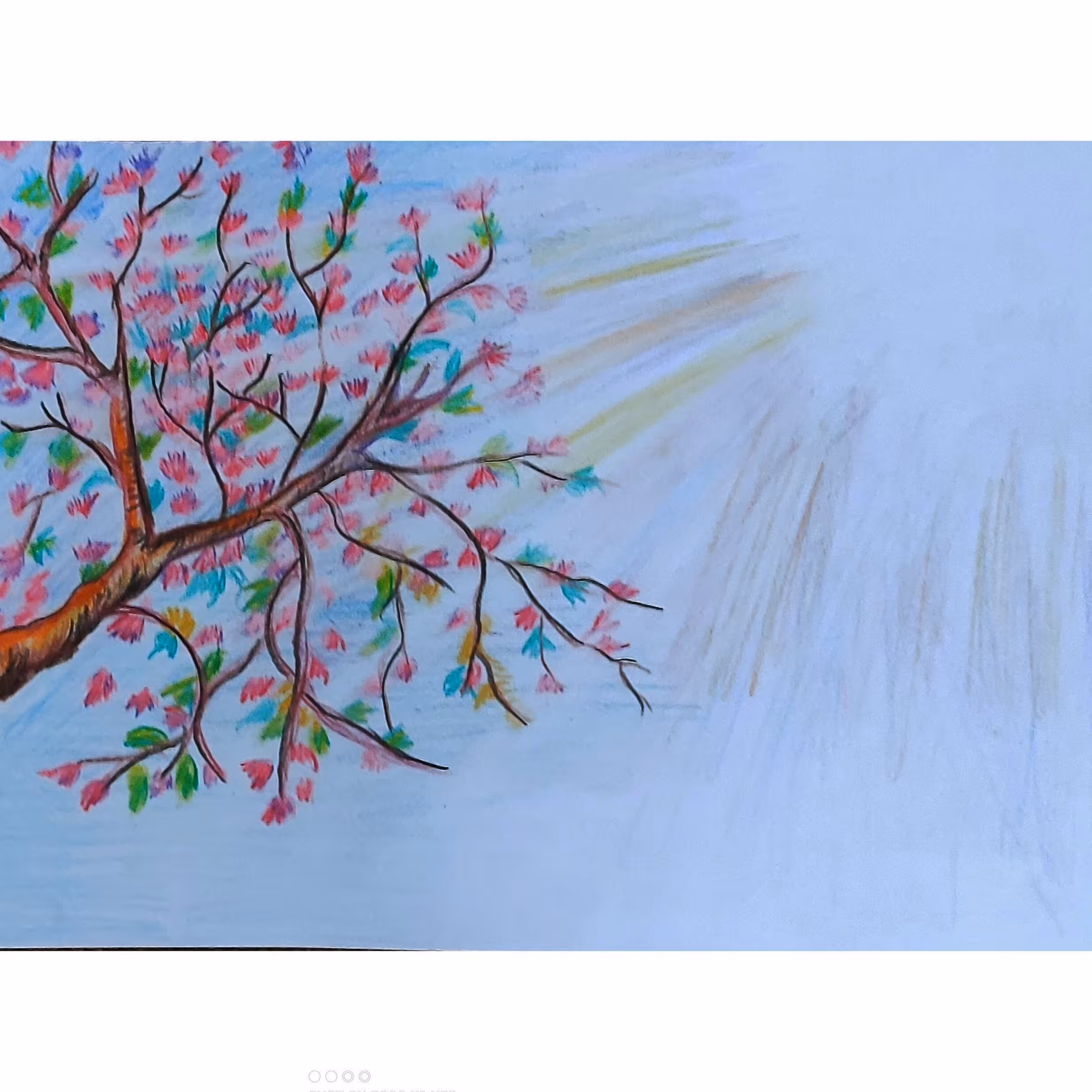 نقاشی روی A4  طبیعت مداد رنگی 