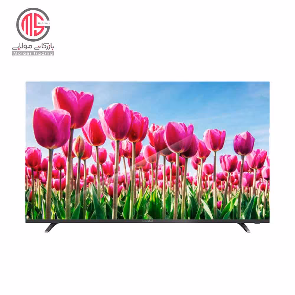 تلویزیون 55 اینچ دوو مدل DSL-55S6600EU