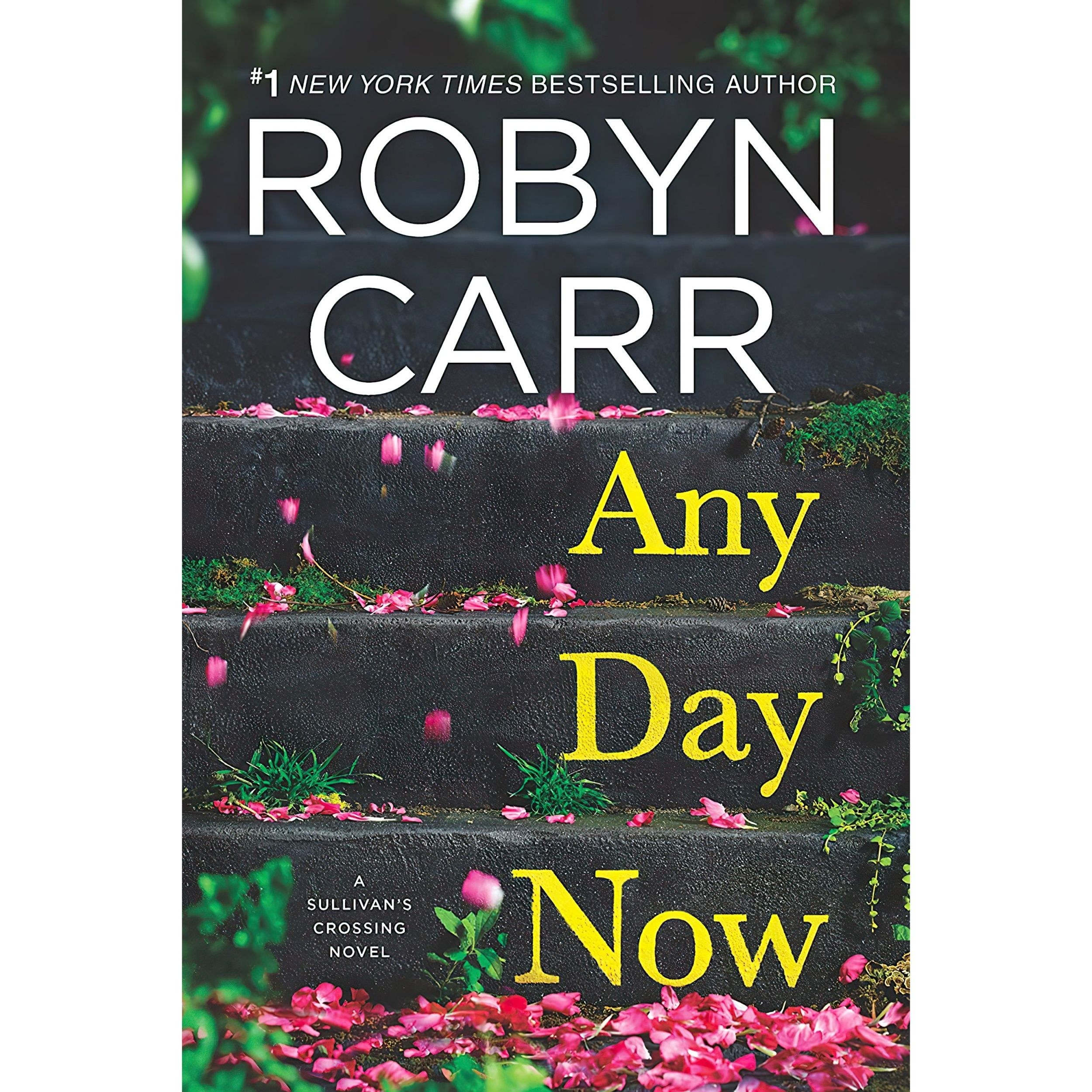 کتاب زبان اصلی Any Day Now اثر Robyn Carr انتشارات MIRA