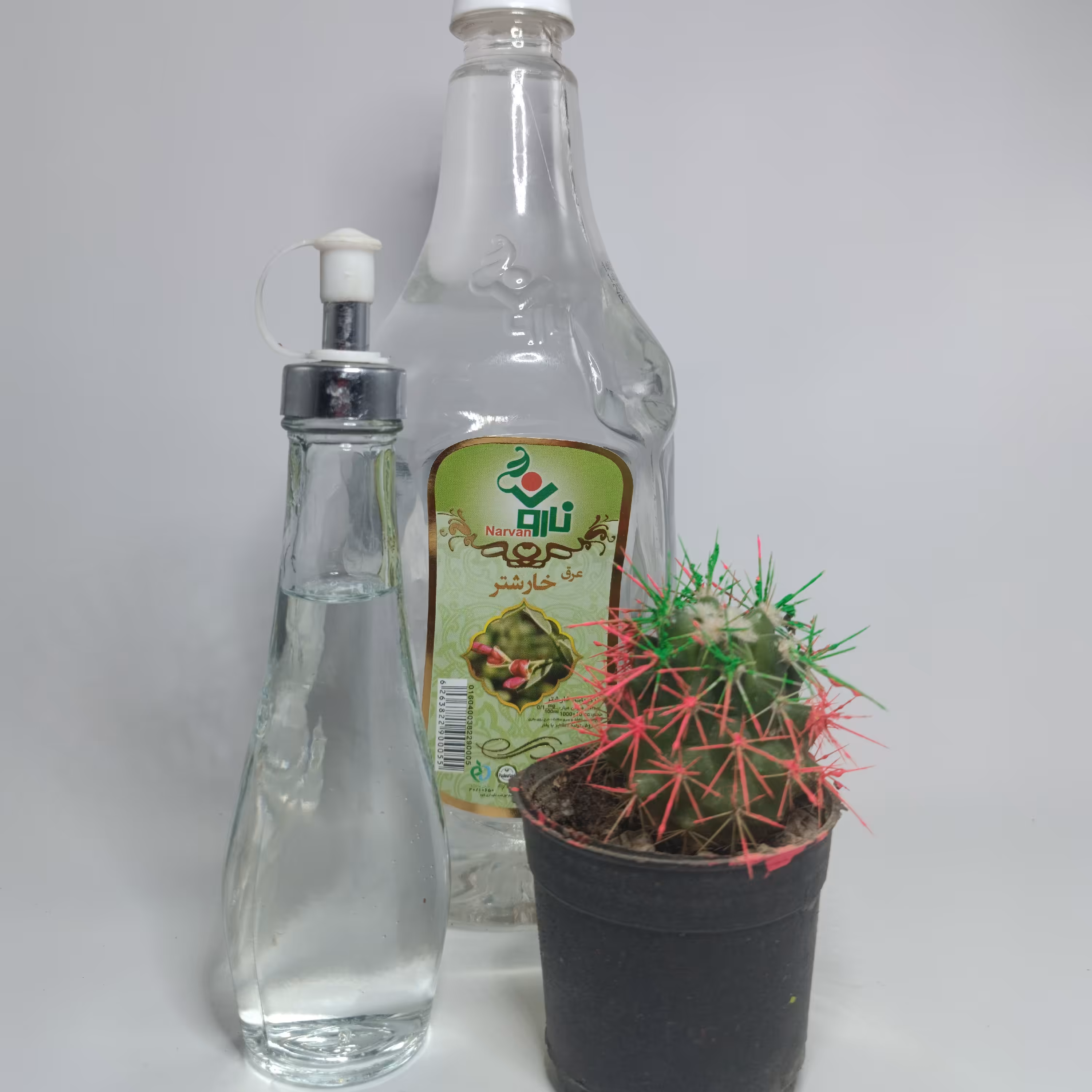 عرق خارشتر (سبک زندگی و طب اسلامی شیعی )