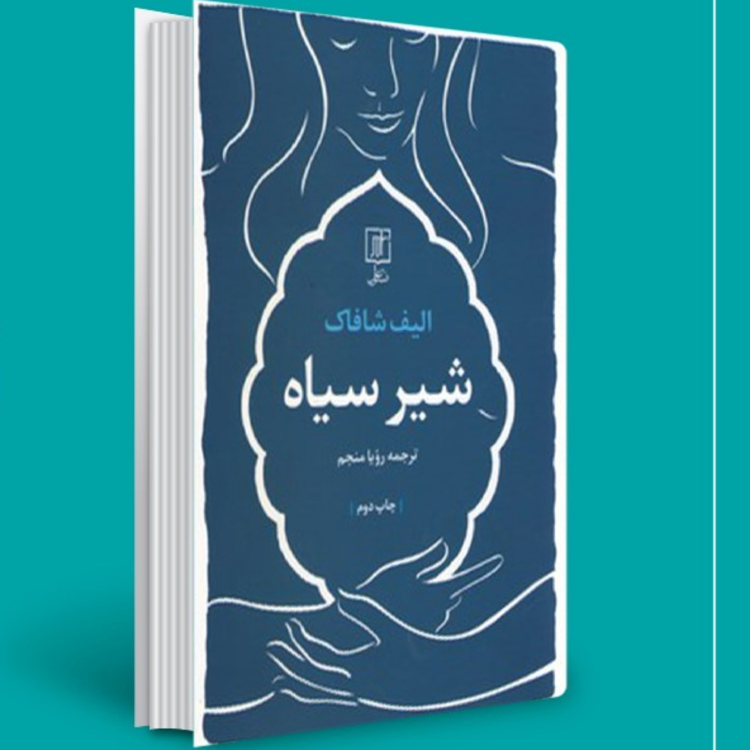 کتاب شیر سیاه -موضوع	 داستان ترکی