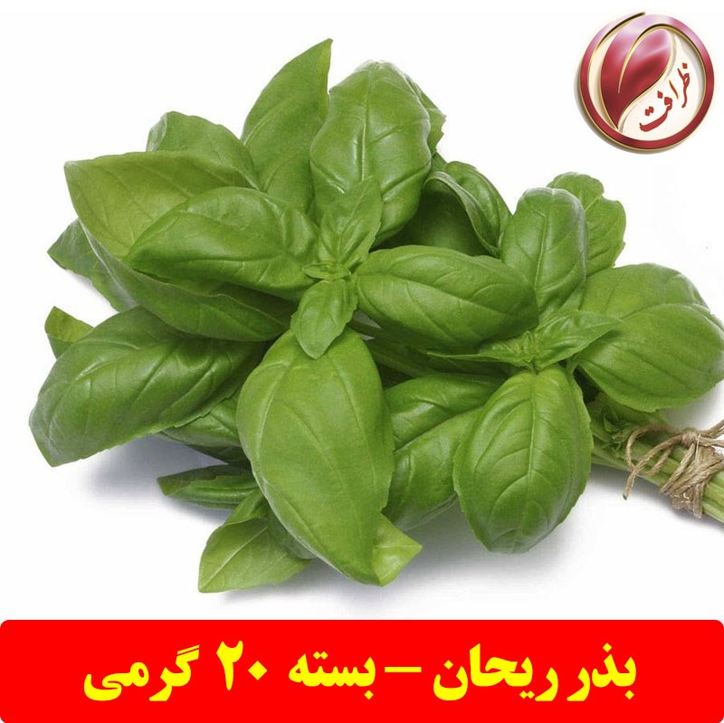 بذر ریحان سبز (بسته 20 گرمی)