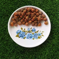 فندوق اشکور