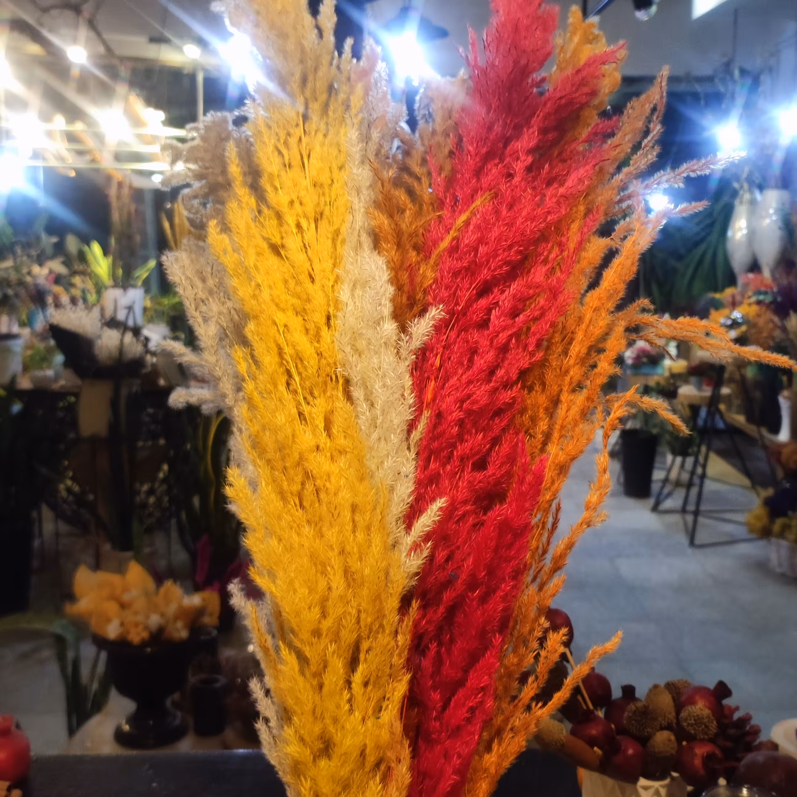 گل خشک دکوراتیو پامپاس بسته 10  عددی در همه رنگ با کیفیت درجه یک مستقیم از تولید کننده قیمت دست اول،هر دسته یک رنگ 