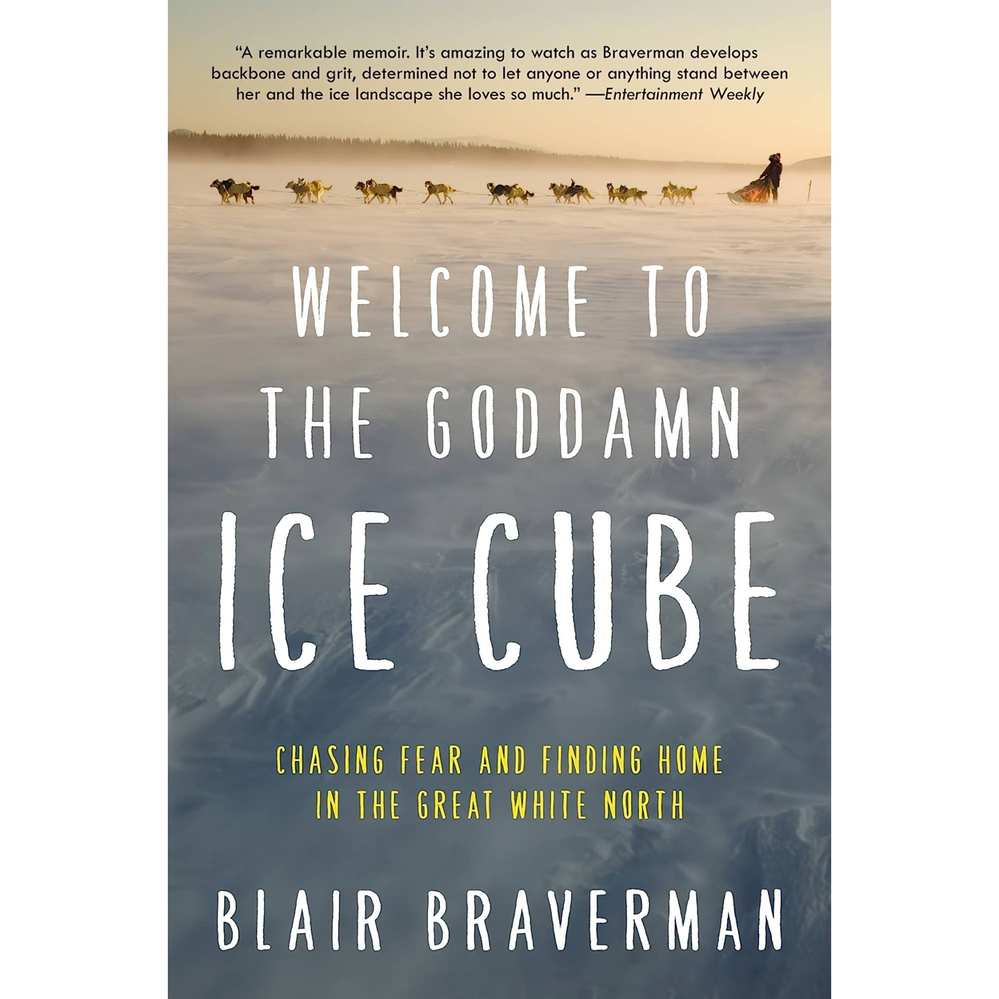 کتاب زبان اصلی Welcome to the Goddamn Ice Cube Chasing Fear and Finding Home in