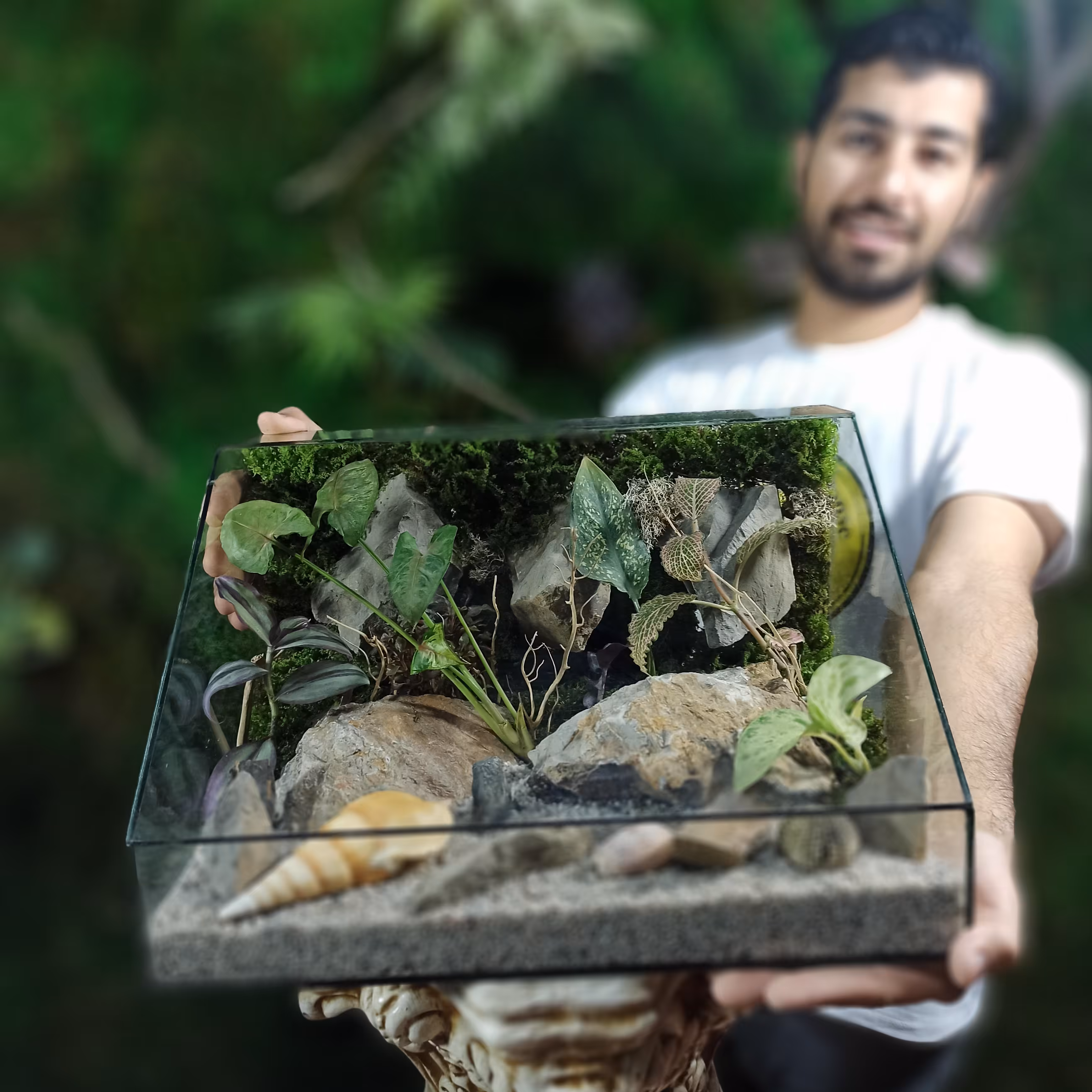 تراریوم ساحلی