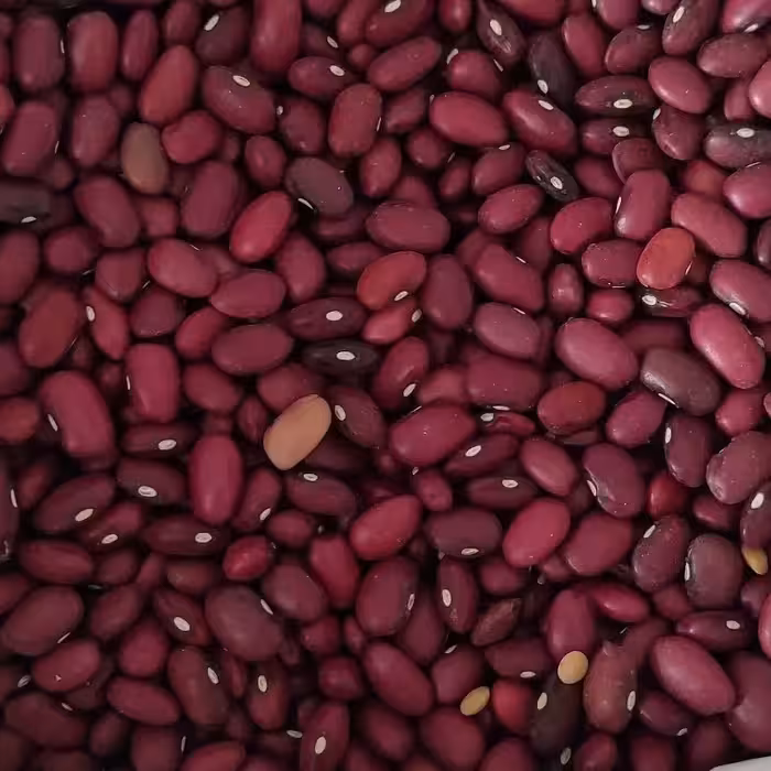 لوبیا قرمز امسالی پاک کرده