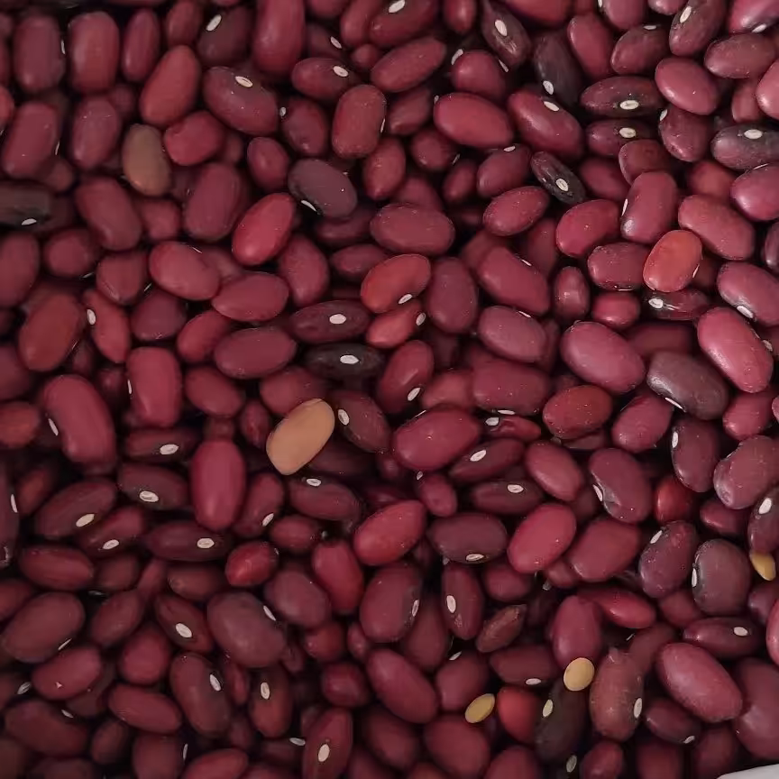 لوبیا قرمز امسالی پاک کرده