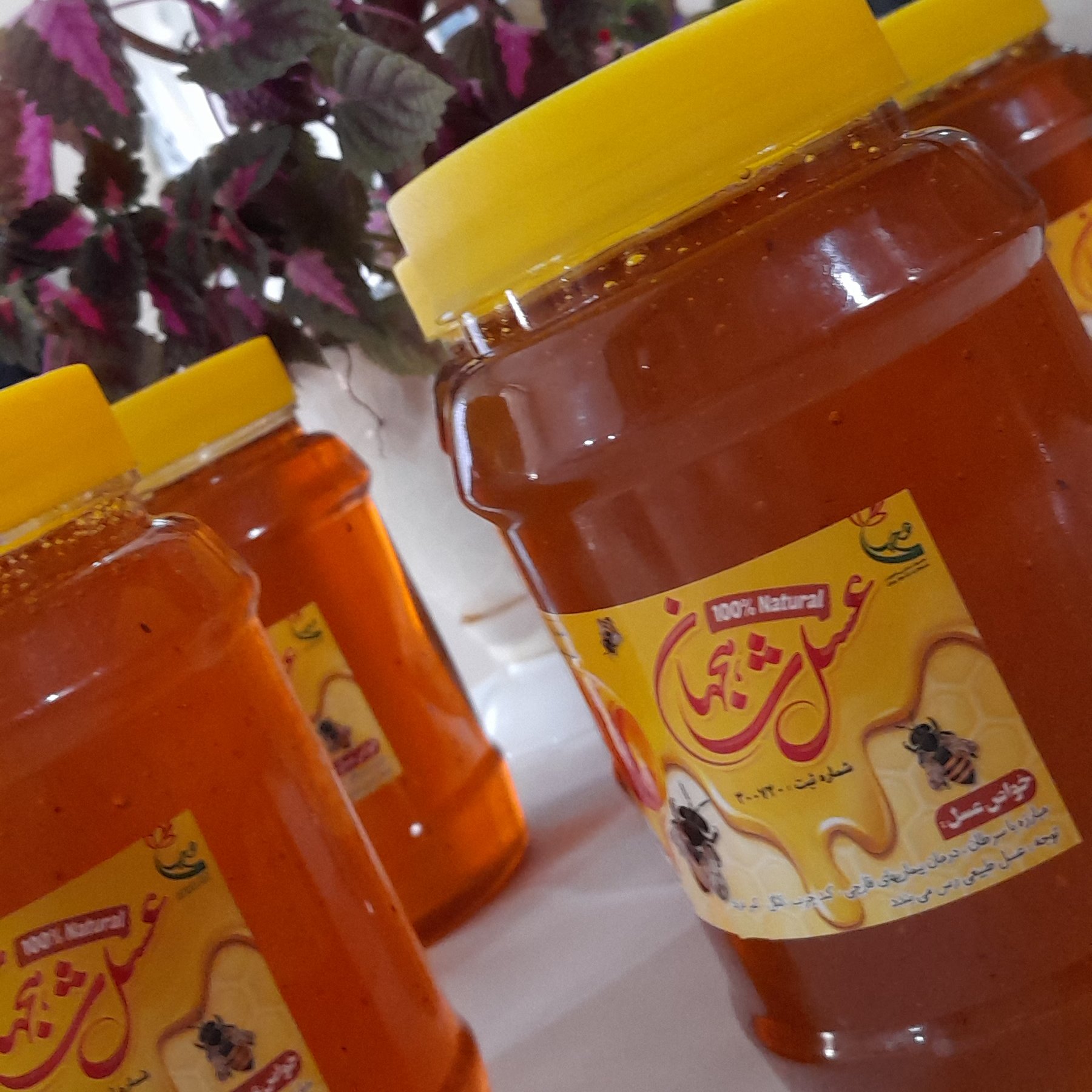 عسل طبیعی