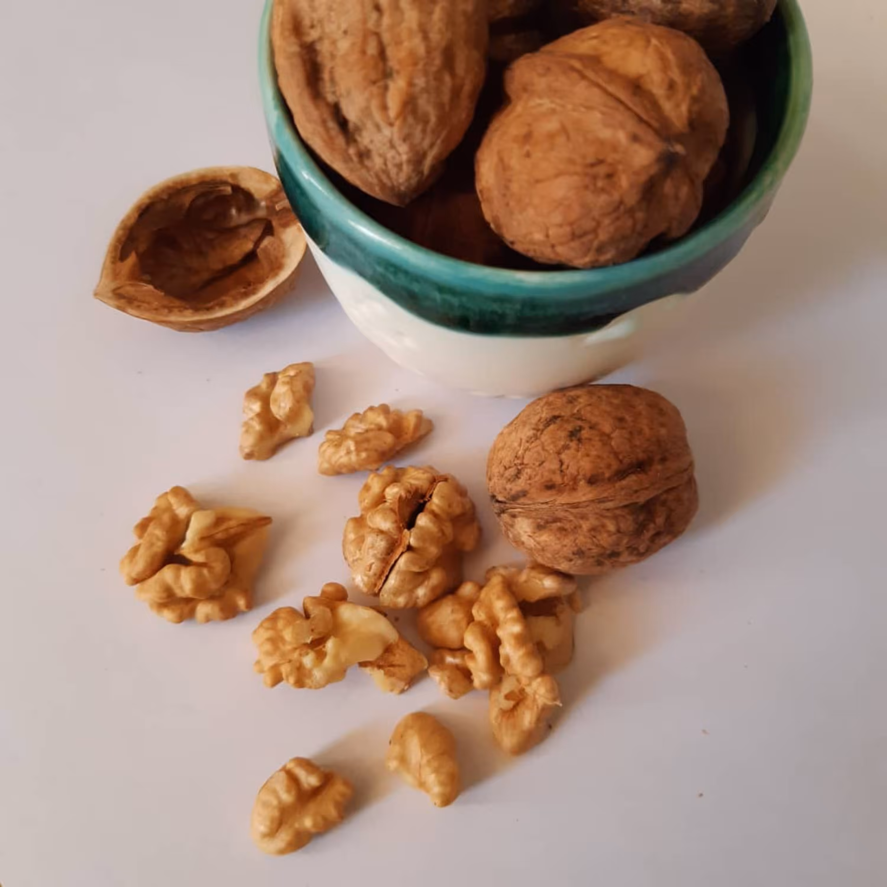 گردو بومی محلی کردستان چرب و خوش طعم