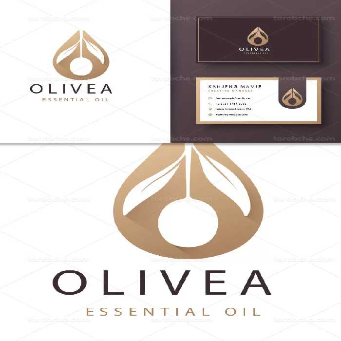 وکتور لوگو زیتون طلایی | گرافیک با طعم تربچه