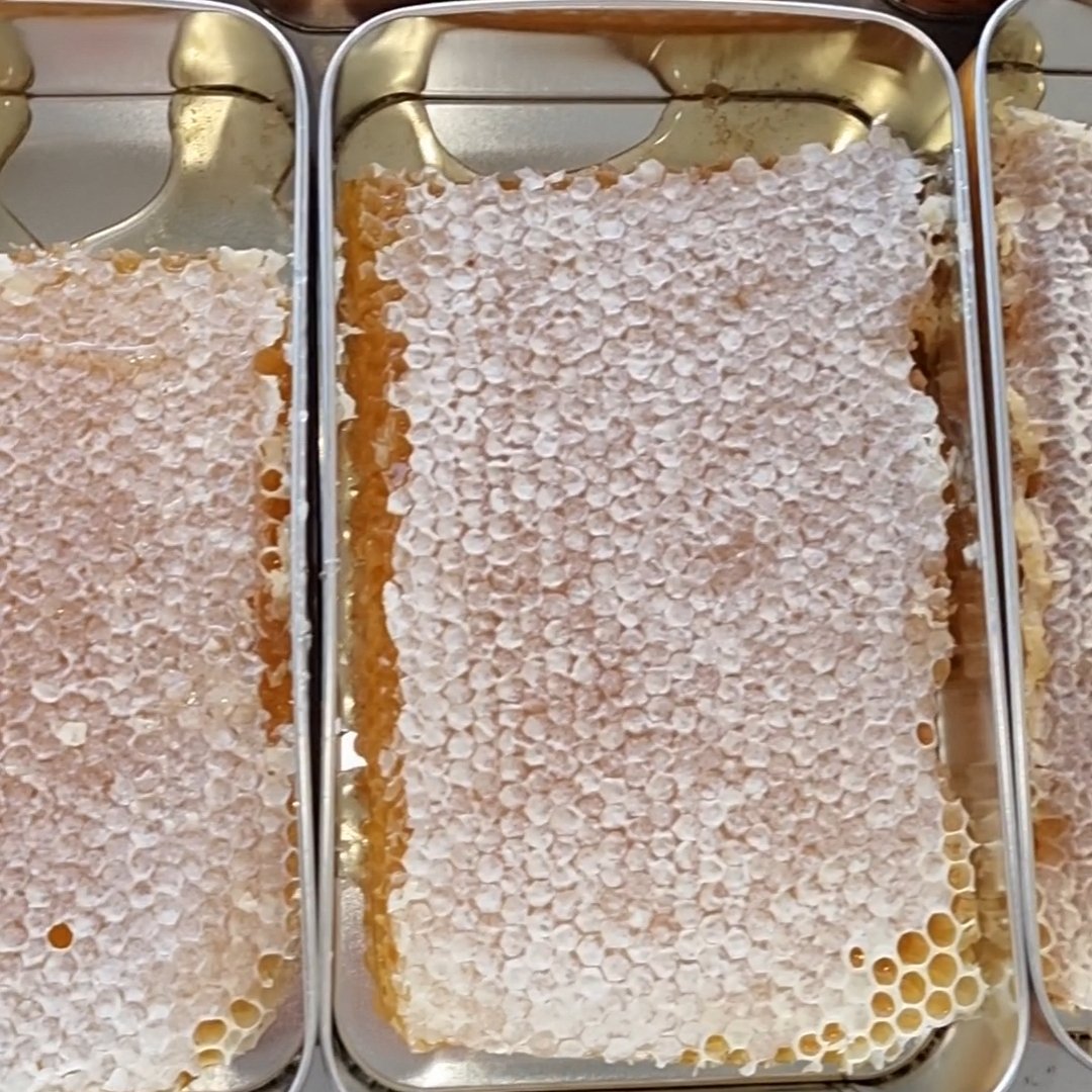 عسل مومی سبلان بالکان