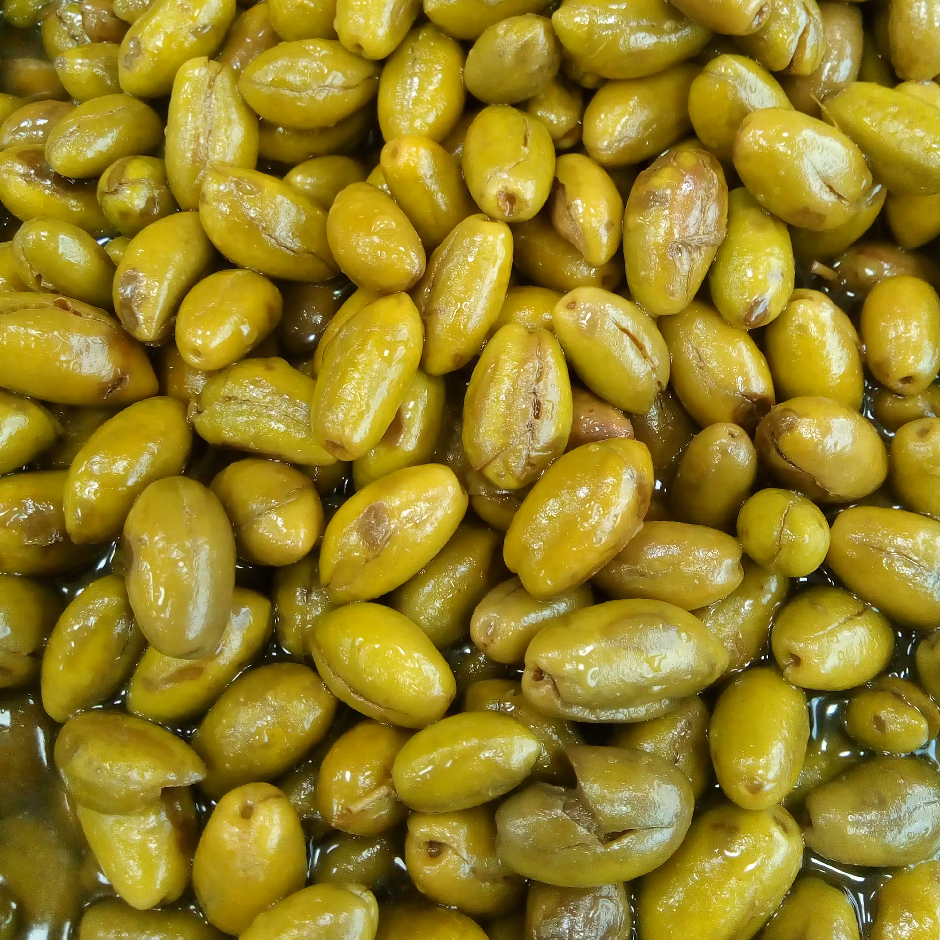 زیتون ماری ریز دست مخصوص فروشگاه زیتون حامد یک کیلویی