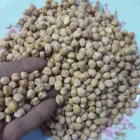 نخود درشت درجه یک اب گوشتی واشی درچهارمحال وبختیاری (800گرمی)خوش پخت وعالی وتمیز