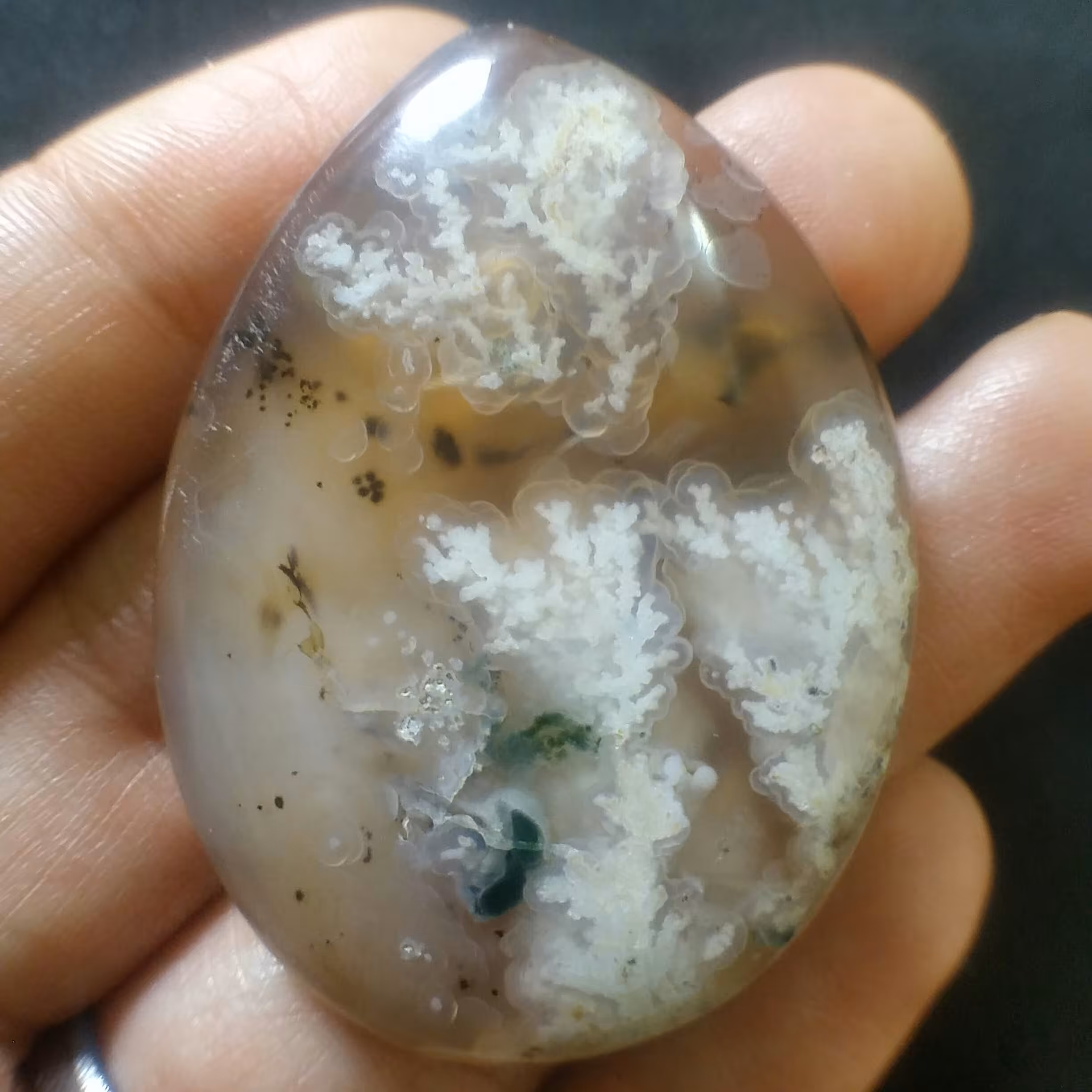 نگین شجر شکوفه با درخت های واضح شاهکار خلقت تراش اشک خاص و زیبا