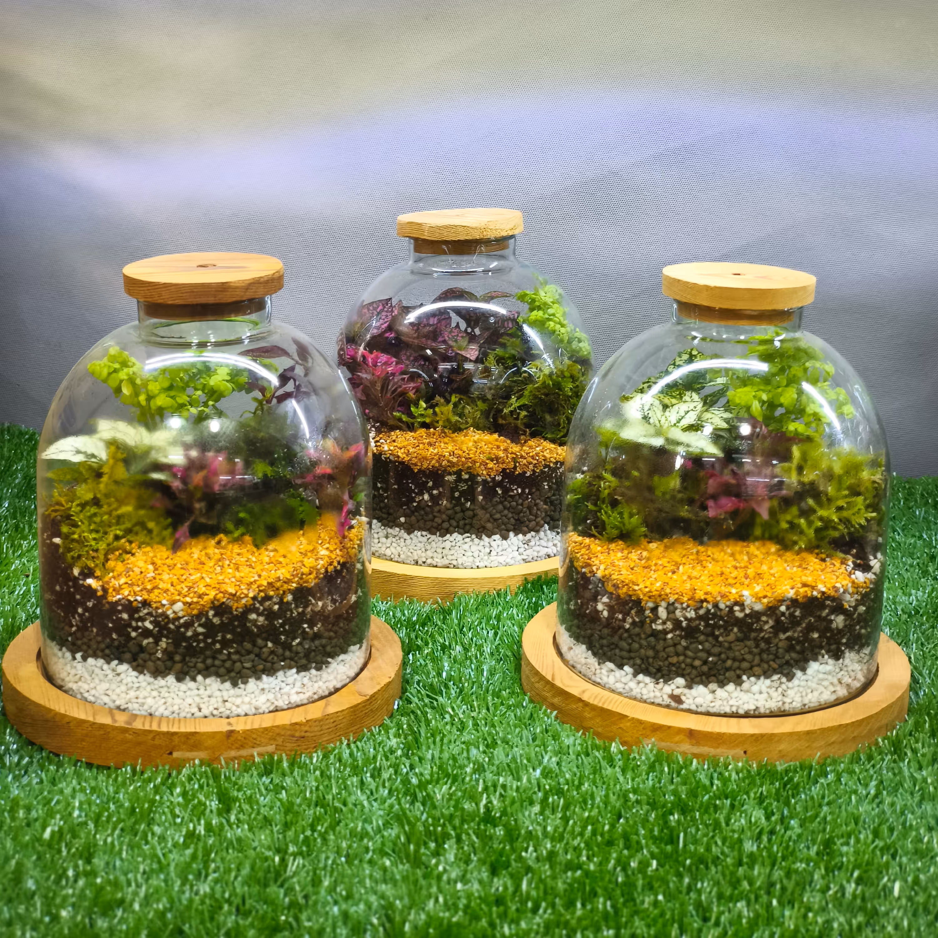 تراریوم مدل لیلیوم (متوسط) (پس کرایه)