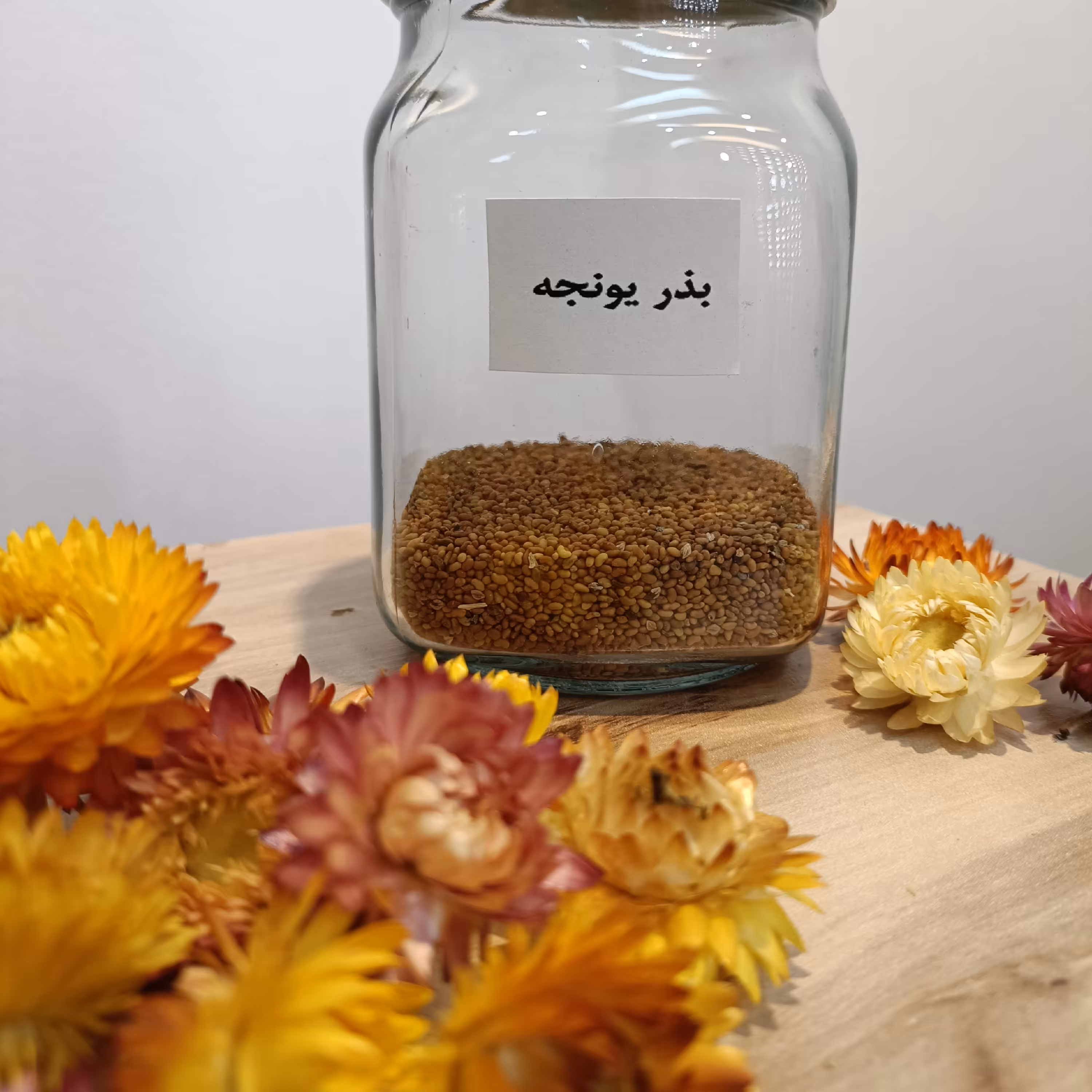 گیاه بذر یونجه 75 گرم